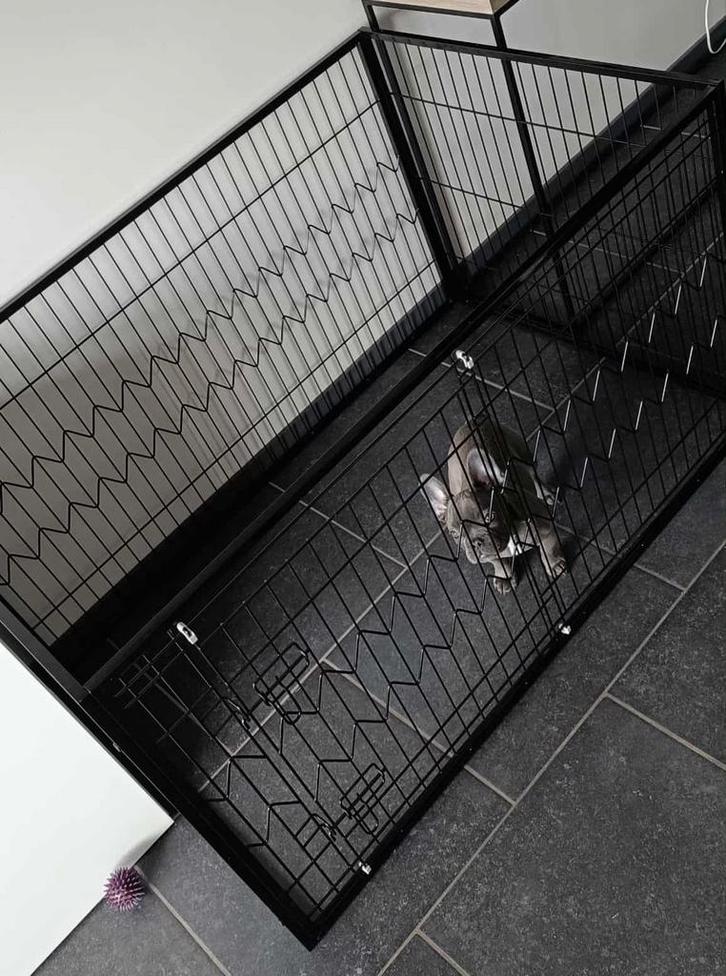 Parc pour chien / Cage avec porte coulissante, Animaux & Accessoires, Maisons pour chiens, Comme neuf, Enlèvement