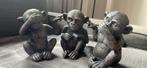 3 singes de la sagesse, Ophalen, Zo goed als nieuw