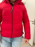 Tommy hilfiger  S, Kleding | Dames, Jassen | Winter, Ophalen, Zo goed als nieuw