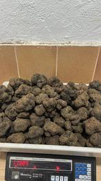 Truffe noire (Tuber Melanosporum) - fin de la saison, Collections, Enlèvement ou Envoi, Comme neuf