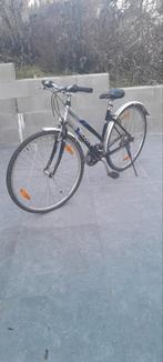 Vélo Scott gris pour femme d'occasion, Vélos & Vélomoteurs, Vélos | Femmes | Vélos pour femme, Enlèvement, Vitesses