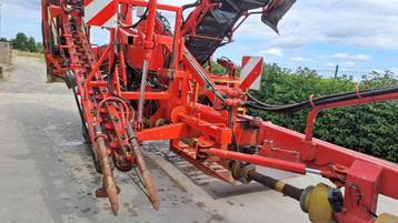 Harvester Dewulf carottes, Articles professionnels, Agriculture | Outils, Enlèvement, Cultures, Moissonneuse