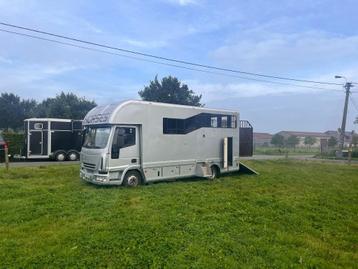 Camion à chevaux compact Iveco avec espace de vie