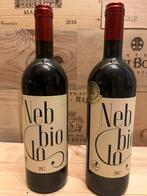 2 bouteilles nebbiolo casa del barone 2017, Enlèvement, Comme neuf
