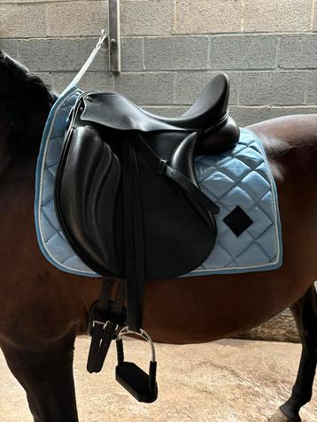 Zaldi zadel beschikbaar voor biedingen