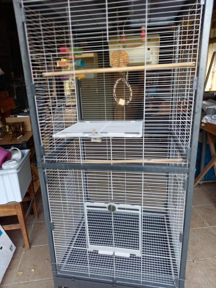 Grote volière-kooi voor binnen op wielen, Dieren en Toebehoren, Vogels | Hokken en Kooien, Zo goed als nieuw, Volière, Metaal