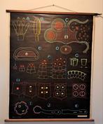 Oude schoolplaat "Bloemetjes & bijtjes" 1949, Antiek en Kunst, Ophalen