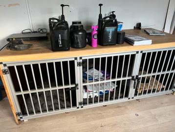 Kennel honden beschikbaar voor biedingen