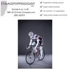 Etalagepoppen/Mannequins Nieuw in Race /Mountainbike Houding, Sport en Fitness, Wielrennen, Ophalen of Verzenden, Nieuw, Overige typen