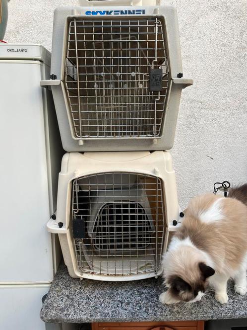 Transportkooien IATA  voor vliegtuigen, Dieren en Toebehoren, Transportboxen, Gebruikt, Ophalen of Verzenden
