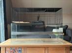 Hamsterkooi 100x50x75 met meerdere niveau’s, Ophalen, Gebruikt, Kooi, Hamster