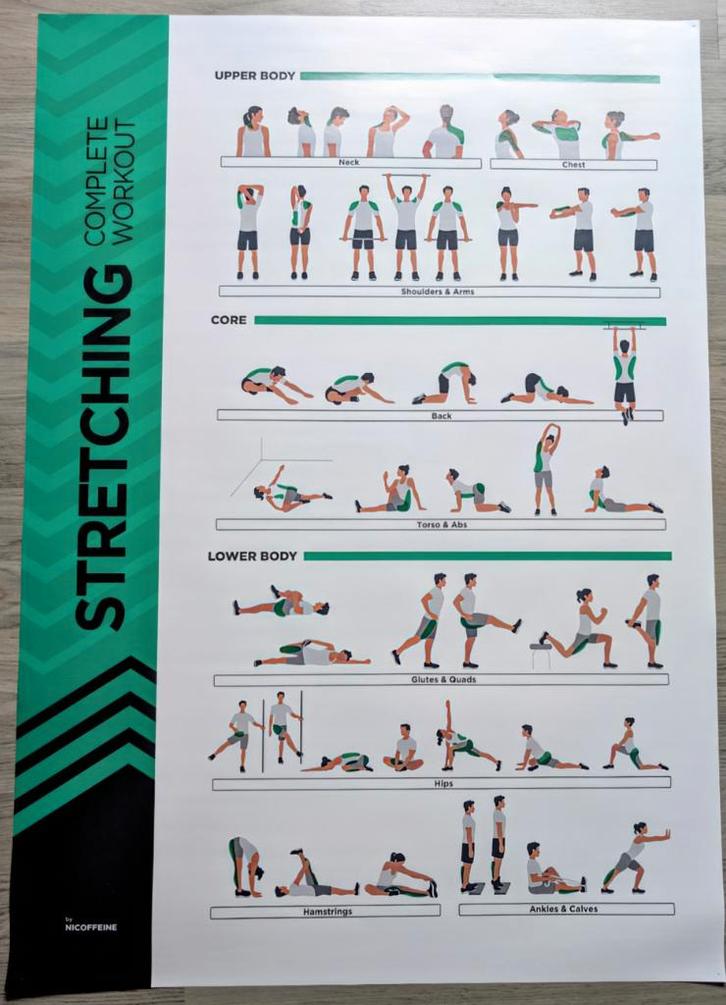 Ensemble complet d'affiches de fitness A1, Sports & Fitness, Équipement de fitness, Utilisé, Haltère, Enlèvement