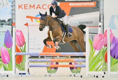 Lesgever aangeboden, Dieren en Toebehoren, Pony's