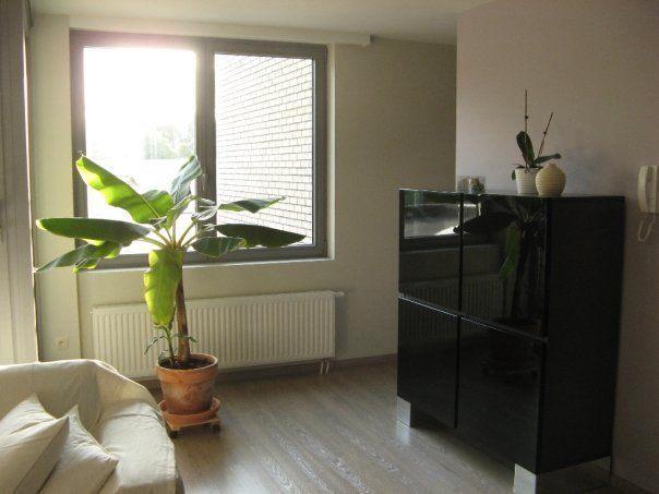 Stevige barkasten, Huis en Inrichting, Kasten | Buffetkasten, Zo goed als nieuw, 150 tot 200 cm, 150 tot 200 cm, 25 tot 50 cm