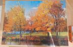 Puzzel 3000 stukjes herfstkleuren, Ophalen, Meer dan 1500 stukjes, Zo goed als nieuw, Legpuzzel