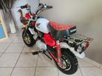 New Monkey//Look Honda//Dax, Ophalen