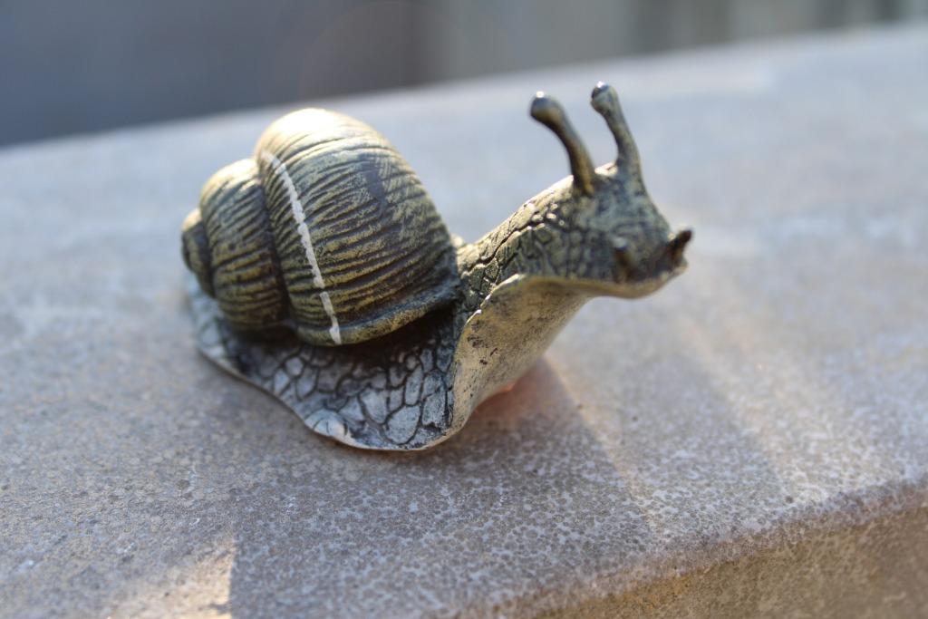 escargot en bronze pat couleurs . BERGMANN, Antiquités & Art, Antiquités | Bronze & Cuivre, Bronze, Enlèvement