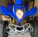 Quad maxxer 300, Motoren, 1 cilinder, 300 cc, 12 t/m 35 kW