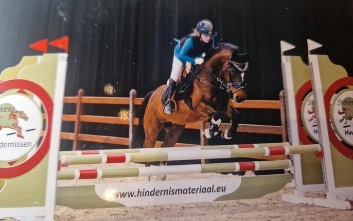 Brave ruin, Dieren en Toebehoren, Pony's, Ruin