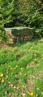 Brandhout beuk es, Ophalen