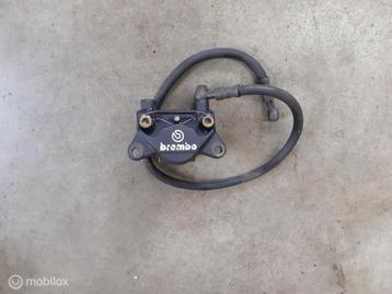 Remklauw achterremklauw Brembo Monster ST SS 888 851 916 748 beschikbaar voor biedingen