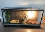 Terrarium 100x30x50 compleet met accessoires, Dieren en Toebehoren, Reptielen en Amfibieën | Toebehoren, Ophalen, Gebruikt, Terrarium of Paludarium