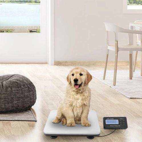 Weegschaal dieren Multifunctionele Huisdierweging hond wegen, Dieren en Toebehoren, Honden-accessoires