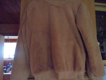 pull XS beschikbaar voor biedingen