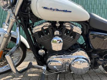 Harley Davidson XL 1200 Sportster Custom | XL1200c beschikbaar voor biedingen