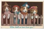When shall we hear from you? Chiens humanisés, Collections, Cartes postales | Animaux, Chien ou Chat, Non affranchie, Envoi
