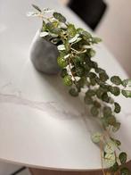 Nep planten decoratie, Huis en Inrichting, Kamerplanten, Ophalen, Overige soorten, In pot, Minder dan 100 cm