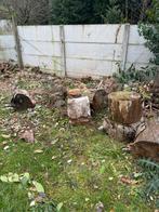 Buche à donné sur strombeek a venir sur place, Jardin & Terrasse, 3 à 6 m³, Enlèvement, Troncs d'arbres