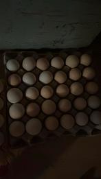 Verse scharrel eieren 6 euro voor 30 eieren, Diversen, Levensmiddelen, Ophalen of Verzenden