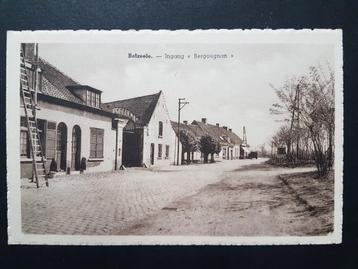 Postkaart Belzeele Belzele Ingang Bergougnan beschikbaar voor biedingen