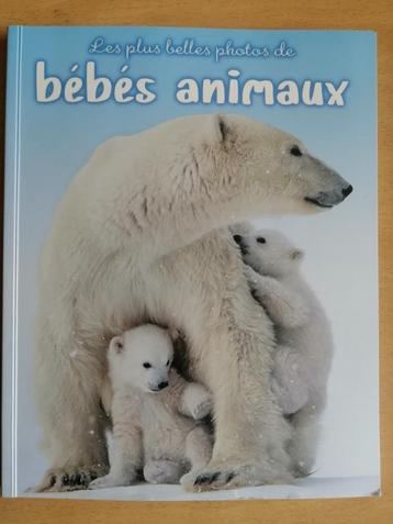  Les plus belles photos de bébés animaux beschikbaar voor biedingen