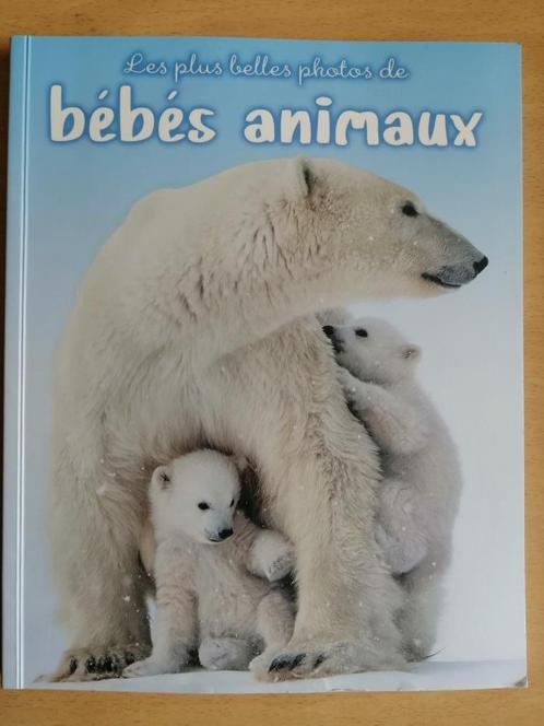 Les plus belles photos de bébés animaux, Boeken, Dieren en Huisdieren, Zo goed als nieuw, Verzenden