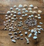 Collectie kleine schelpen en stukje koraal, Ophalen