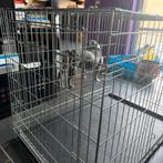 Hondenbench XXL, Dieren en Toebehoren, Ophalen, Zo goed als nieuw