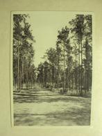 48125 - AMBERRLOUP - INTITUT DE STE-ODE - AIR ET SOLEIL, Envoi