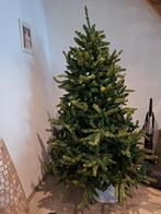 Kerstboom gratis, Diversen, Kerst, Ophalen
