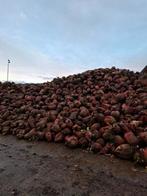 Voederbieten, Zakelijke goederen, Ophalen