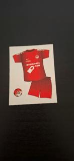 Panini voetbal 2013, Verzamelen