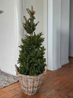 Echte kerstboom (97cm), Ophalen, Zo goed als nieuw