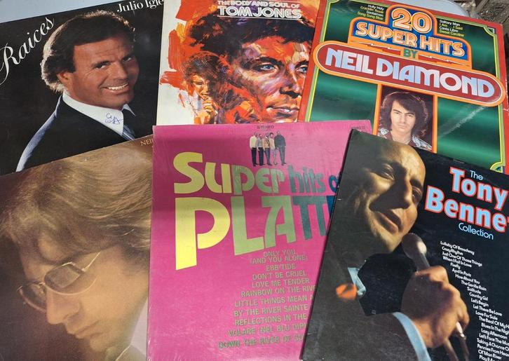 Lot 40 x Lp's Vinyl Pop Rock Funk 70's/80's (31), CD & DVD, DVD | Cabaret & Sketchs, Utilisé