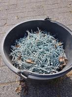 Schroeven 5.0x70 gegalvaniseerd merk Spax, Doe-het-zelf en Bouw, IJzerwaren en Bevestigingsmiddelen, Ophalen, Nieuw, 50 tot 100 mm