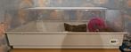 Ferplast kooi (hamsters), Kooi, Hamster