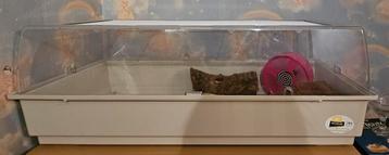 Cage Ferplast (hamsters), Cage, Hamster