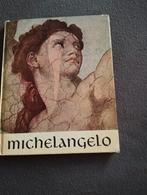 Michelangelo, Livres, Art & Culture | Arts plastiques, Comme neuf, Enlèvement ou Envoi