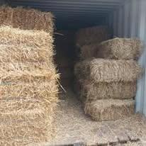 Petit ballot de foin 4€ Juprelle (Liège), Articles professionnels, Agriculture | Aliments pour bétail, Enlèvement