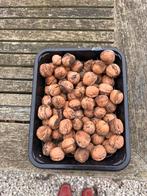 Walnoten BIO, Diversen, Levensmiddelen, Ophalen